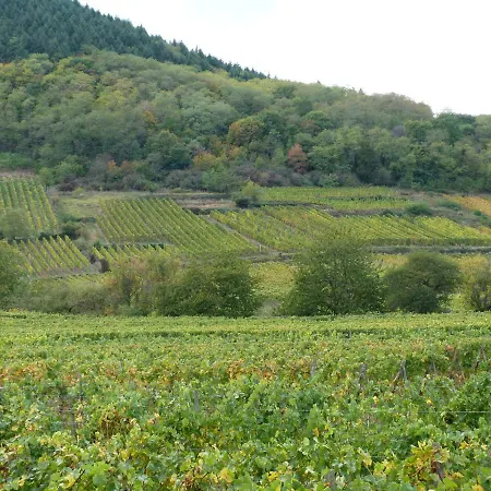 Pres De Colmar